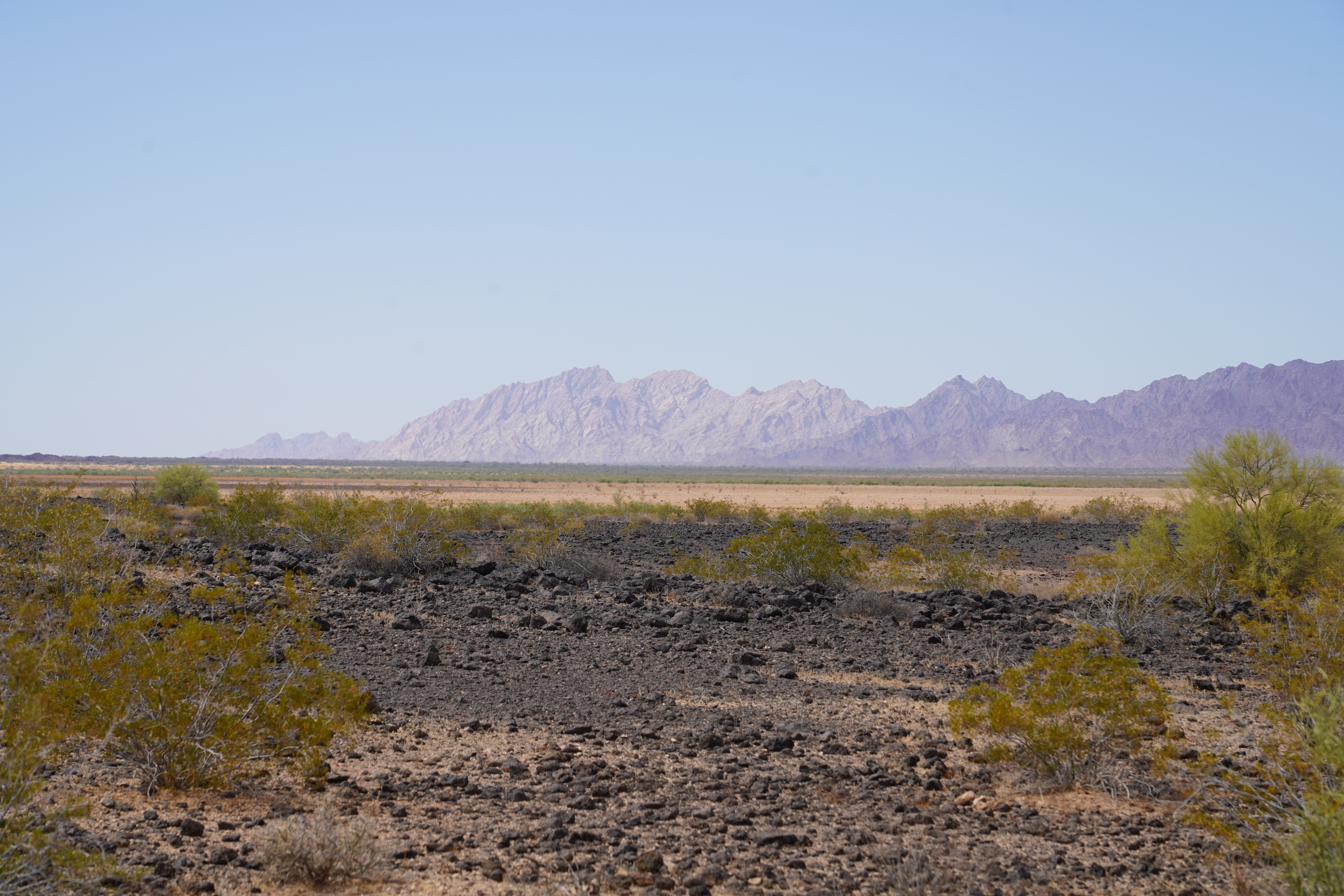 desert with shrubs in the foreground and mountains in the background desert with shrubs in the foreground and mountains in the background